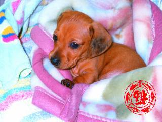 2011101601.jpg