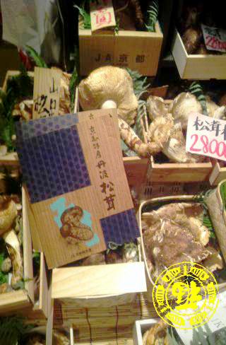 2013112402.jpg