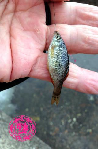 2014011806.jpg