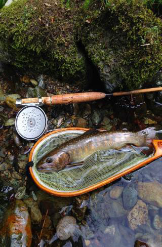 2015050501.jpg