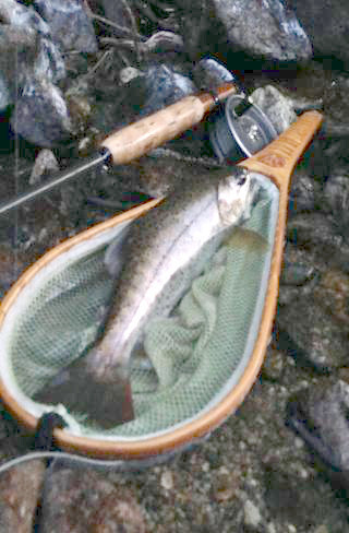 2015050504.jpg