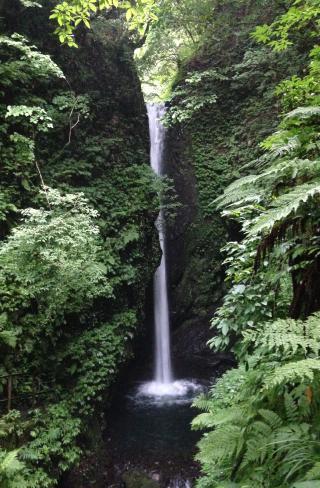 IMG_5334.jpg